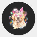 Search for golden egg stickers Bunny