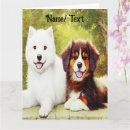Search for samoyed puppy postcards Animal