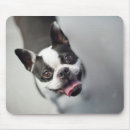 Search for getty mousepads Smiling