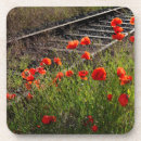 Search for tracks coasters Nature