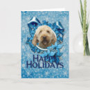 Search for goldendoodle christmas cards Pet