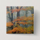 Search for trees in fog badges Fall