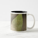 Search for asian elephant mugs Grassland