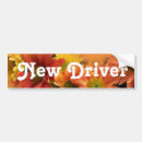 Search for colour image bumper stickers Colourful