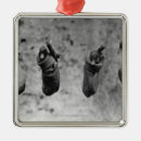 Search for white duck christmas tree decorations Black and white