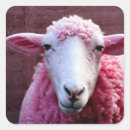 Search for sheep wool stickers Cute