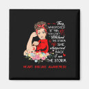 Search for defect magnets Chd warrior