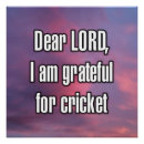 Search for cricket posters Team