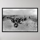 Search for cattle drive posters Cow