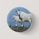 Search for goat badges Wildlife
