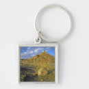 Search for formation key rings Scenic