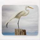 Search for state mousepads Bird