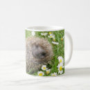Search for hedgehog baby mugs Nature