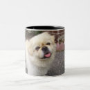 Search for pekingese coffee mugs Cute