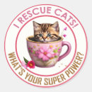 Search for rescue cat stickers Crazy cat lady