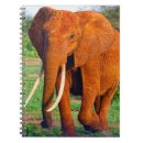 Search for african notebooks Wildlife