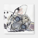 Search for arabian magnets Panthera pardus nimr