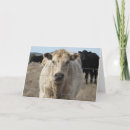 Search for veterinarian cards Cute