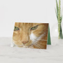 Search for kats posters Pets