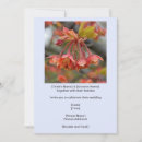 Search for maple tree Simple