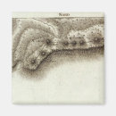 Search for andorra magnets Map