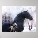 Search for friesian horse art Horses