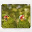 Search for front view electronics Wildlife