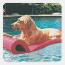 Search for front and back stickers Full length
