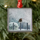 Search for little bird christmas tree decorations Wildlife