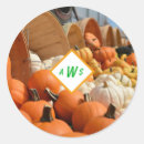 Search for gourd stickers Pumpkin