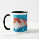 Search for persian cat mugs Studio shot