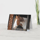 Search for who cards Horse