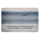 Search for seagulls magnets Seascape