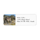 Search for wild return address labels Equine