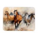 Search for mustangs magnets Horse