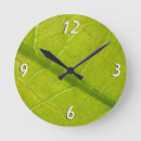 Search for green leaf clocks Nature photography