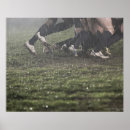 Search for rugby posters Teamwork