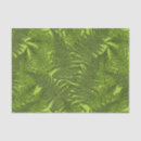 Search for fern tissue paper Forest