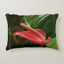 Search for calla lily cushions Flower
