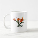 Search for orange lily mugs Garden