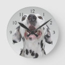 Search for confrontational art Animal