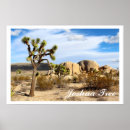 Search for joshua tree posters National park
