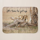 Search for photo with animals blankets Wildlife