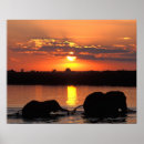 Search for africana art Wildlife