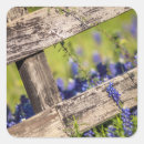 Search for texas bluebonnet stickers Meadow
