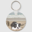 Search for bostons key rings Animals