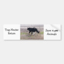 Search for traps bumper stickers Cats