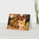 Search for pembroke welsh corgi christmas cards Pet
