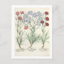 Search for multiplexing Botanical