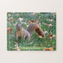 Search for squirrel puzzles Nature